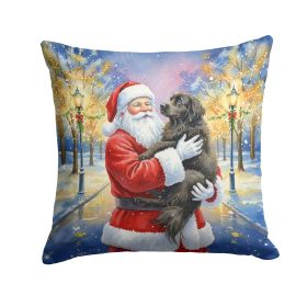 Newfoundland with Santa Claus Throw Pillow Decorative Indoor Outdoor Accent Cushion for Couch, Bed or Patio, 18Hx18W